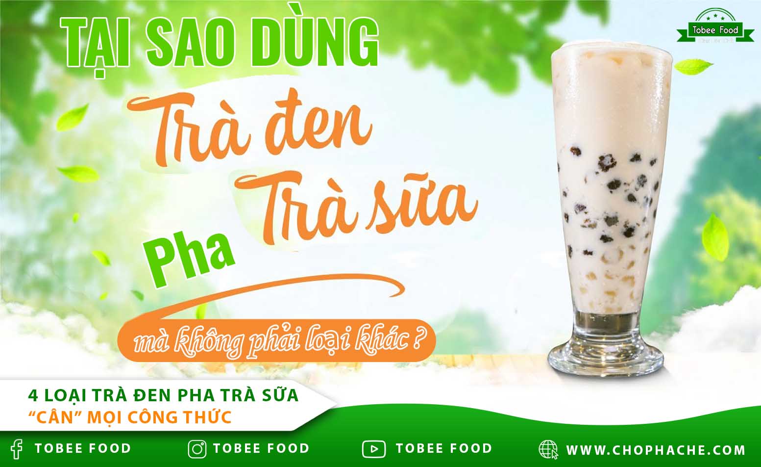 Top 4 loại trà đen pha trà sữa “cân” mọi công thức