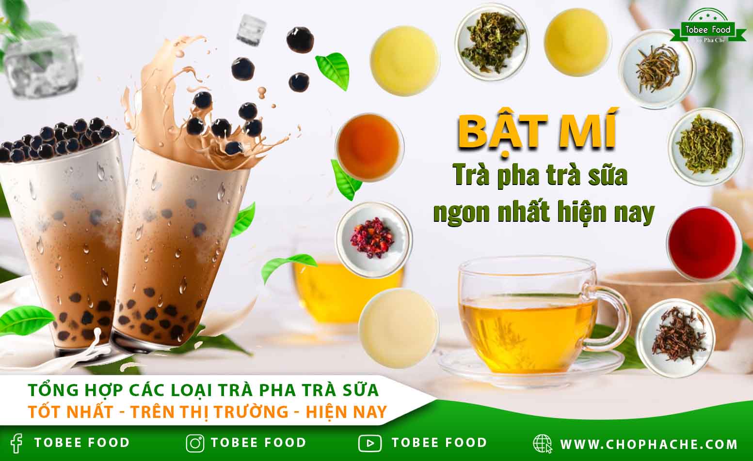 Tổng hợp các loại trà pha trà sữa tốt nhất trên thị trường