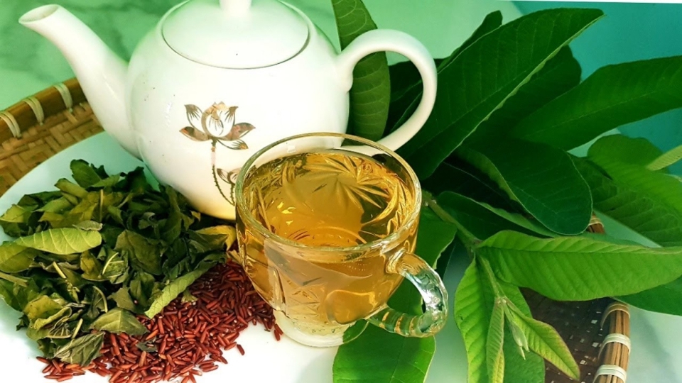 Công dụng của nước lá ổi
