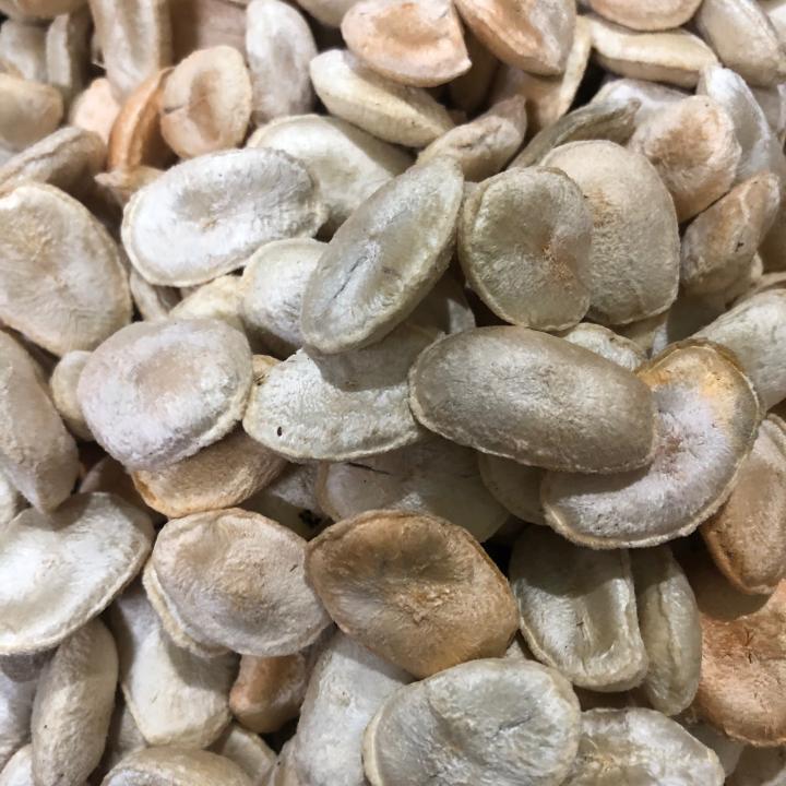 Tìm hiểu sự thật Hạt Sành(Hạt Sang) chữa bệnh dạ dày, đại tràng - 3