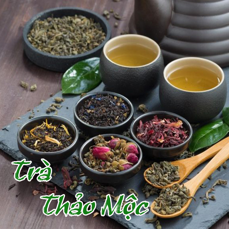 TRÀ THẢO MỘC TÂY BẮC