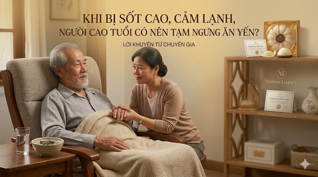 Khi bị sốt cao hoặc cảm lạnh người cao tuổi có nên tạm ngưng ăn yến?