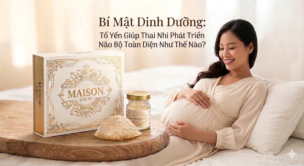 Bí Mật Dinh Dưỡng: Tổ Yến Giúp Thai Nhi Phát Triển Não Bộ Toàn Diện Như Thế Nào?