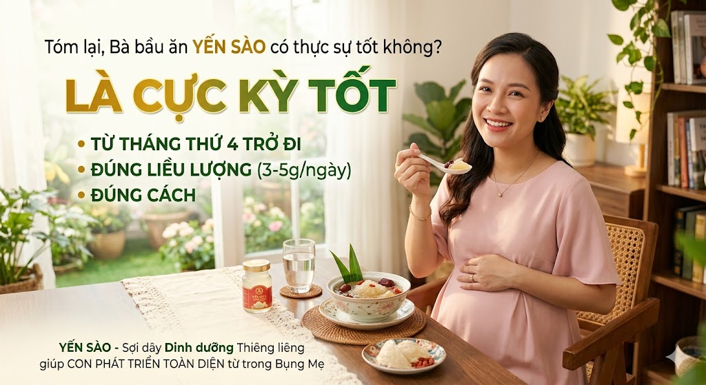 Bà Bầu Ăn Yến Sào Có Thực Sự Tốt Không? Hướng Dẫn Từ A-Z Cho Thai Kỳ Khỏe Mạnh