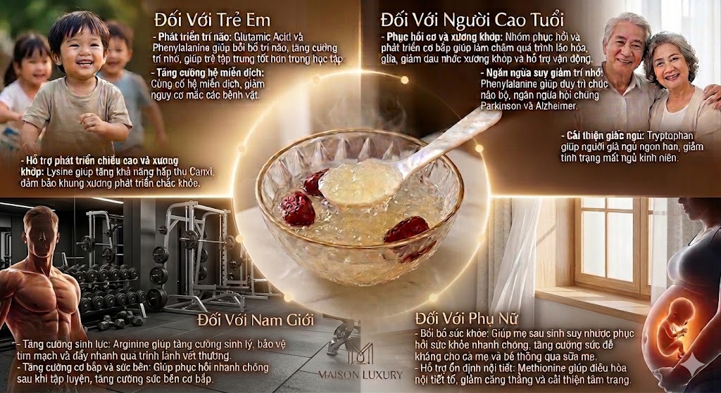 18 Loại Axit Amin Trong Yến Sào: 