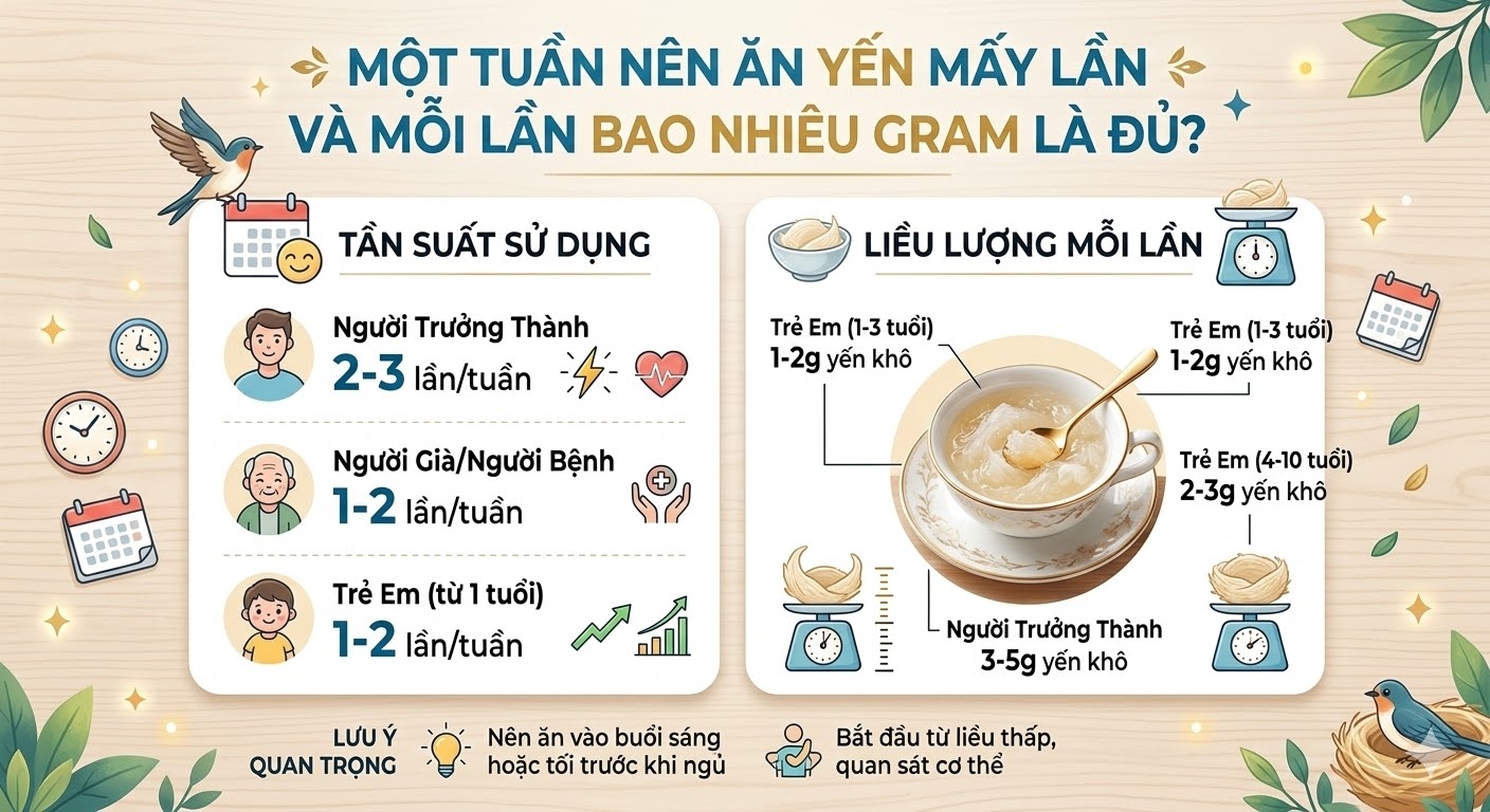 Một Tuần Nên Ăn Yến Mấy Lần Và Mỗi Lần Bao Nhiêu Gram Là Đủ?