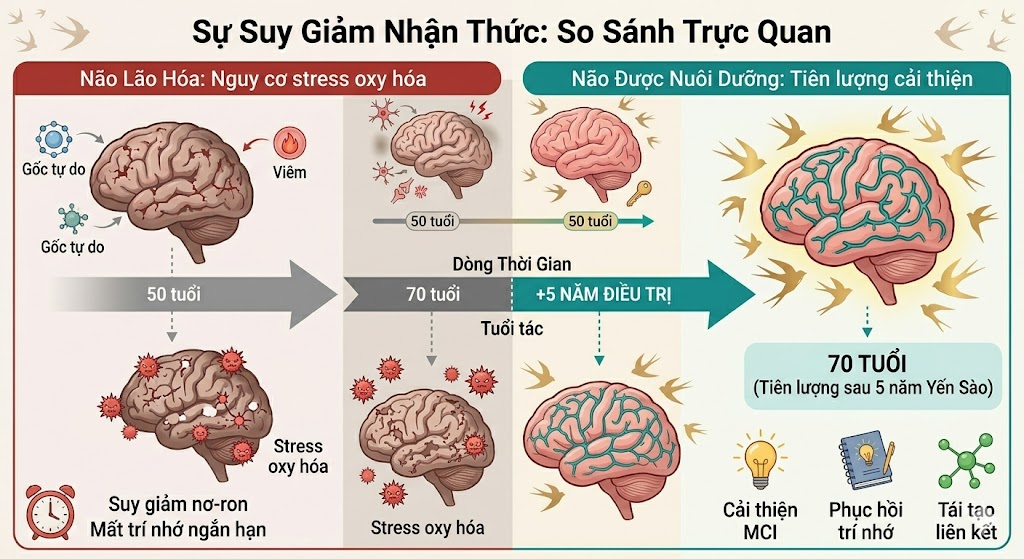 Bí Quyết Từ Yến Sào Giúp Tăng Cường Trí Nhớ Và Sự Minh Mẫn Ở Người Cao Tuổi: Cẩm Nang Khoa Học Toàn Diện
