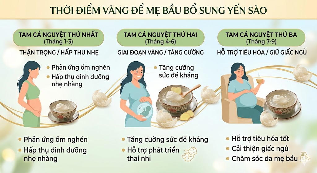 Yến Sào Với Bà Bầu: Cẩm Nang Dinh Dưỡng Toàn Diện Cho Thai Kỳ Khỏe Mạnh