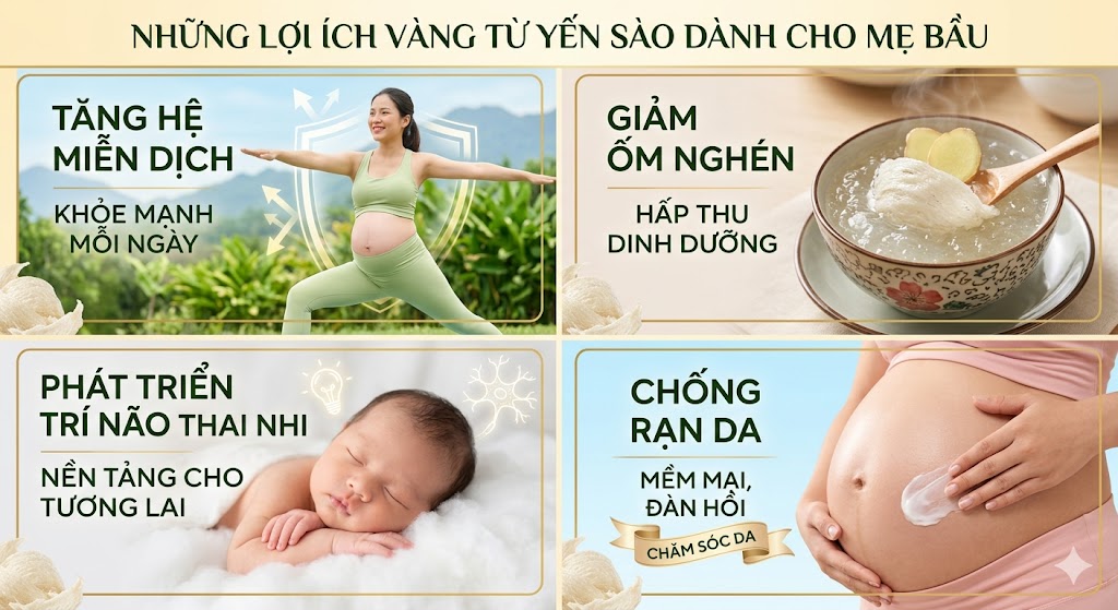 Yến Sào Với Bà Bầu: Cẩm Nang Dinh Dưỡng Toàn Diện Cho Thai Kỳ Khỏe Mạnh