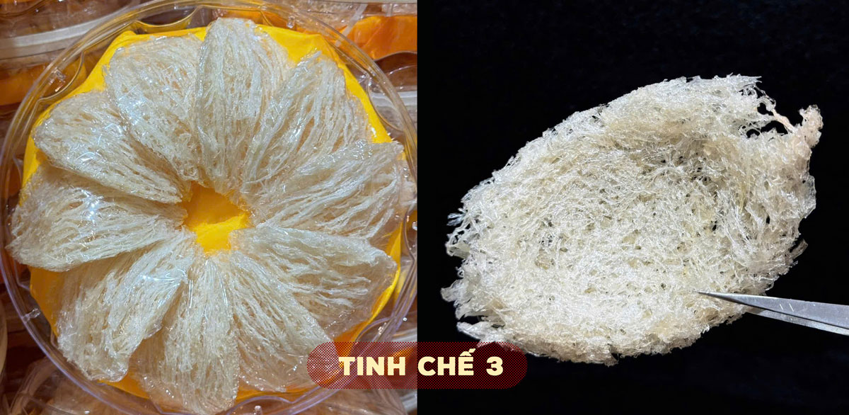 Yến tinh chế nguyên tổ Maison 50g