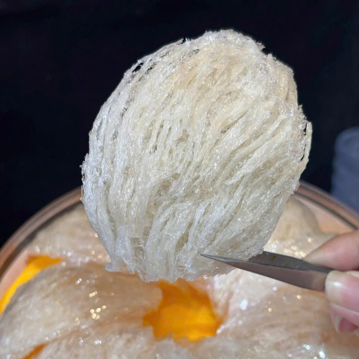 Yến tinh chế nguyên tổ Maison 50g