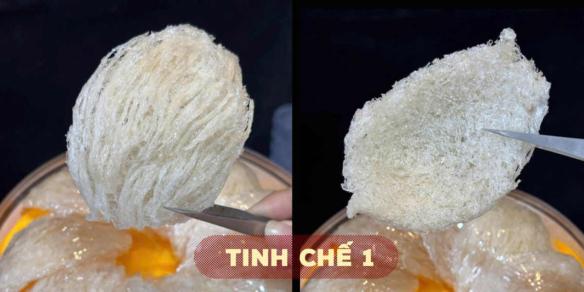 Yến tinh chế nguyên tổ Maison 100g