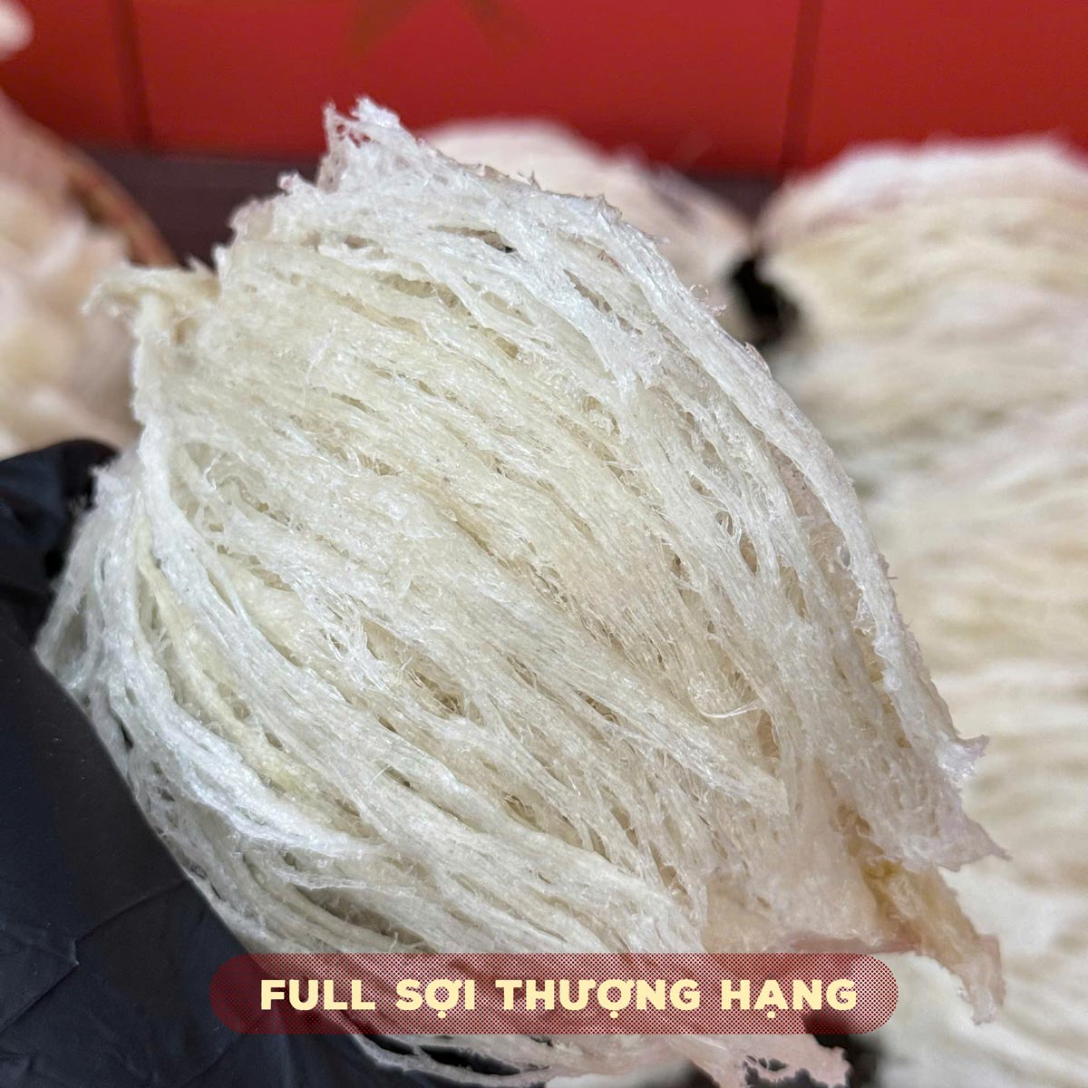 Yến tinh chế nguyên tổ Maison 50g