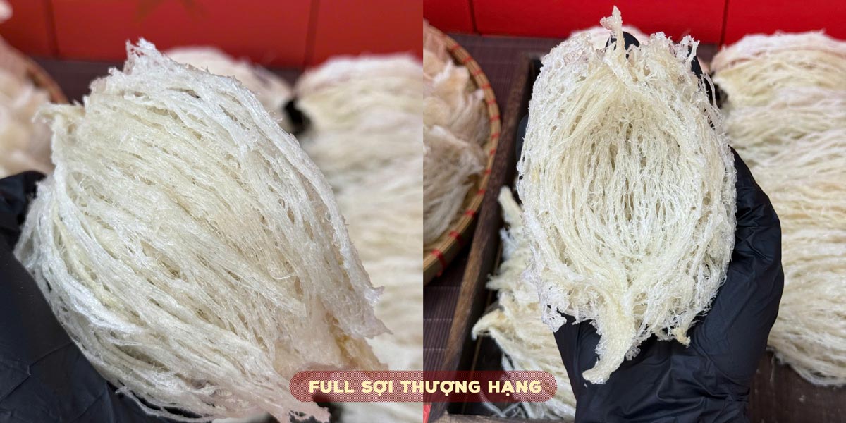 Yến tinh chế nguyên tổ Maison 100g