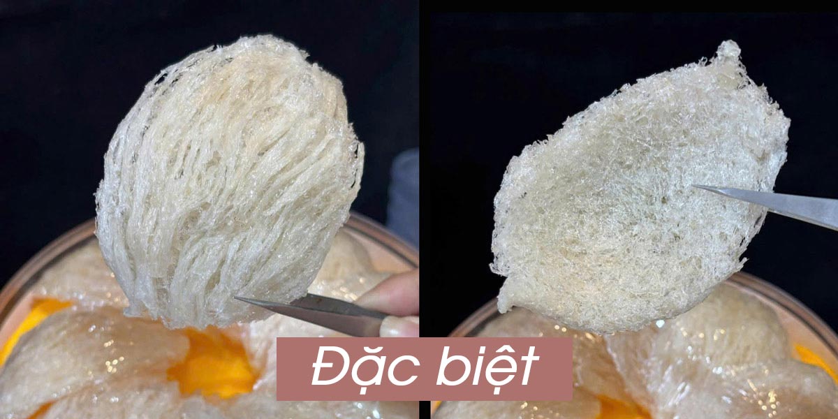 Yến tinh chế nguyên tổ Maison 100g