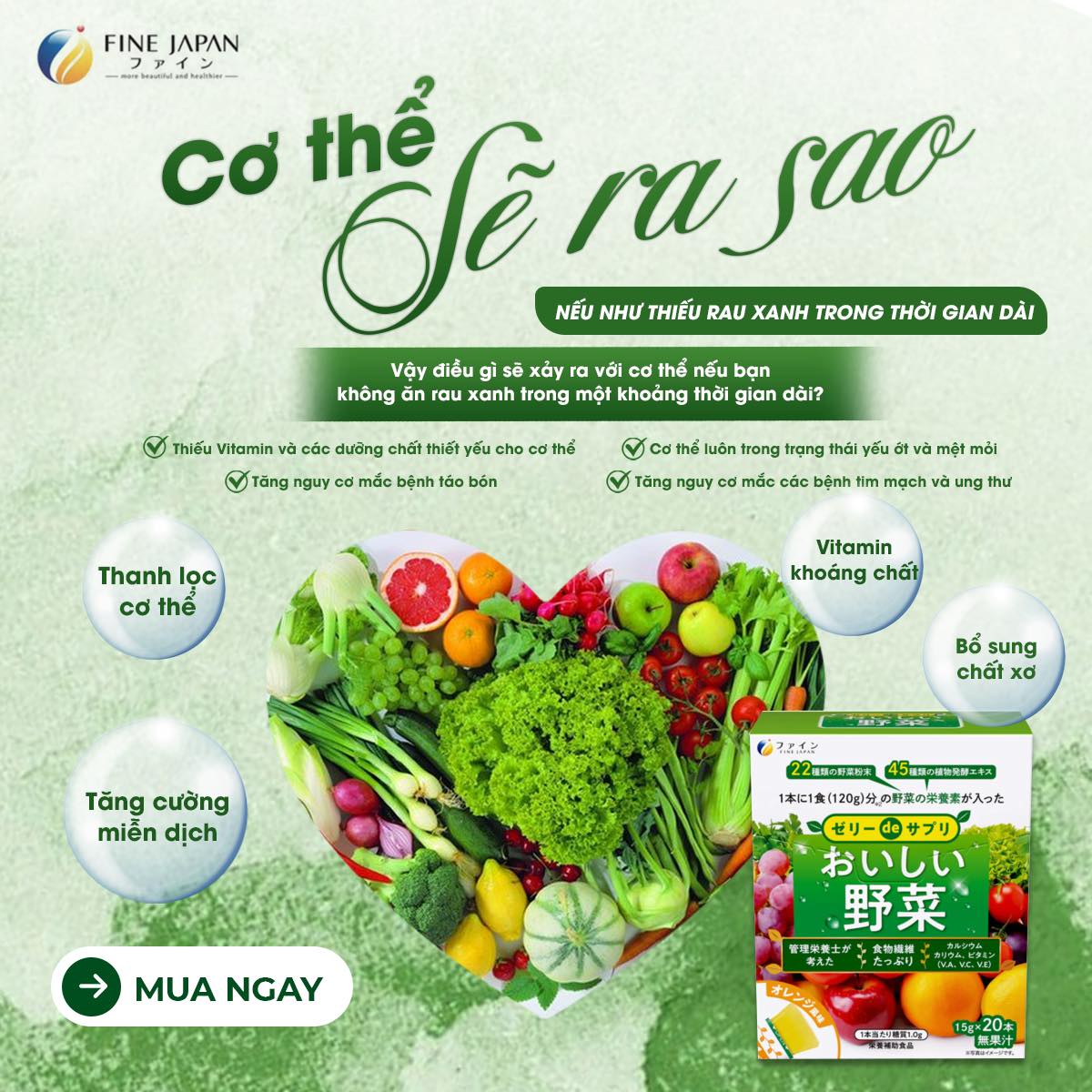 CƠ THỂ SẼ RA SAO NẾU NHƯ THIẾU RAU XANH TRONG THỜI GIAN DÀI