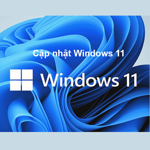 cach-cap-nhat-windows-11-cho-may-tinh