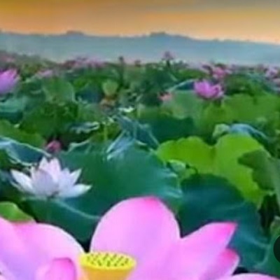 cung-cap-khop-noi-nhanh-khi-nen-tai-dong-thap
