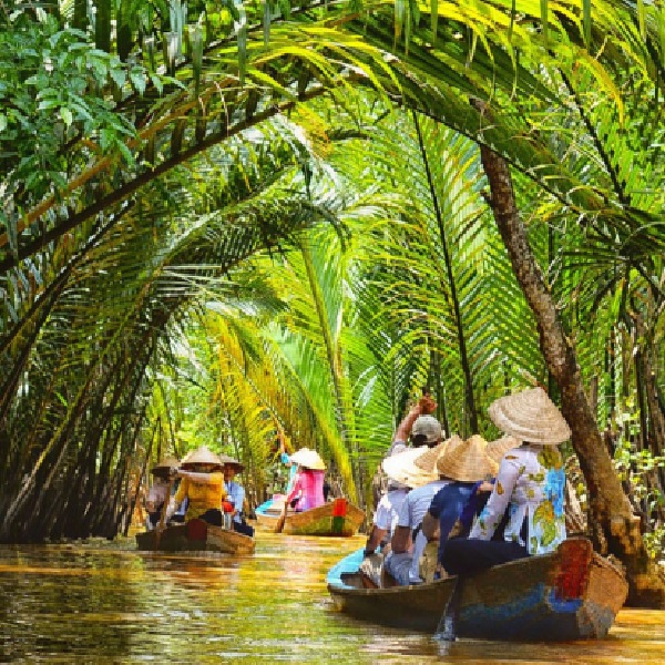 vu-mo-bo-tai-tinh-ben-tre