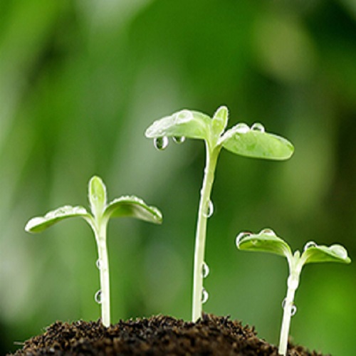 Cửa hàng nông nghiệp
