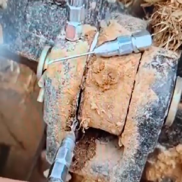 đầu bơm mỡ kim