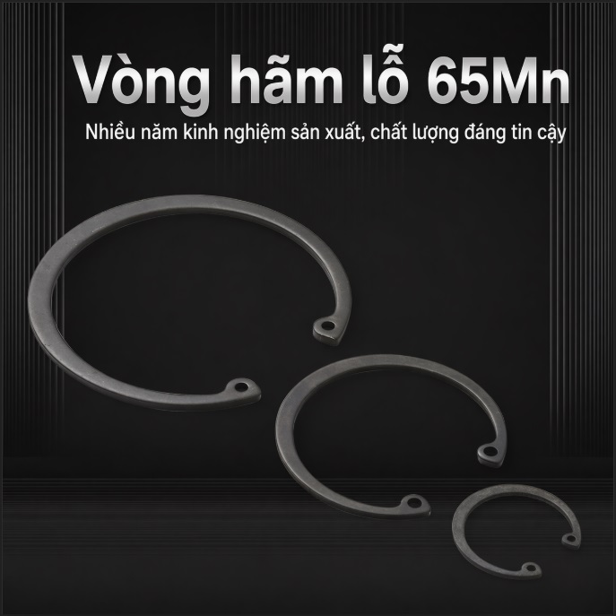 phanh lỗ, vòng chặn lỗ