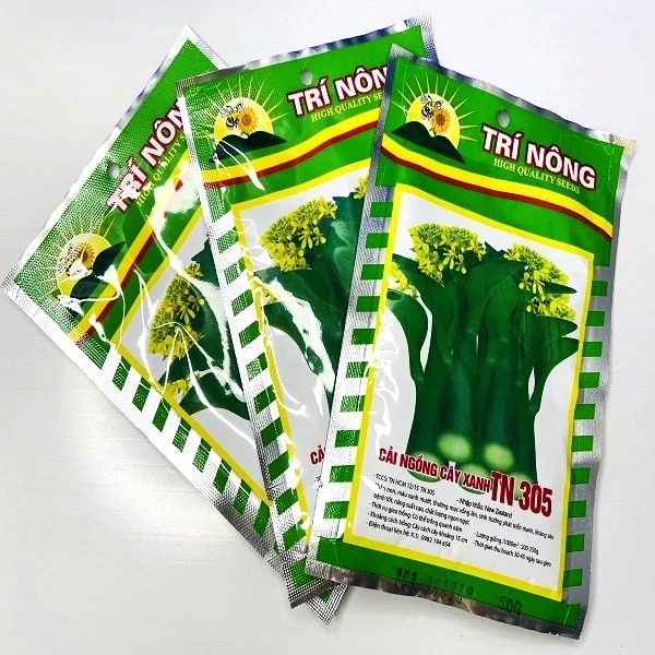 Hạt giống cải ngồng cây xanh TN 305