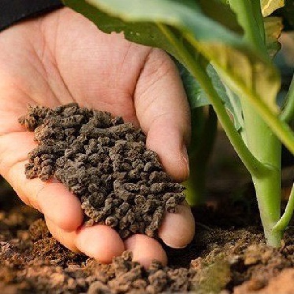 Phân bón đầu trâu HCMK7