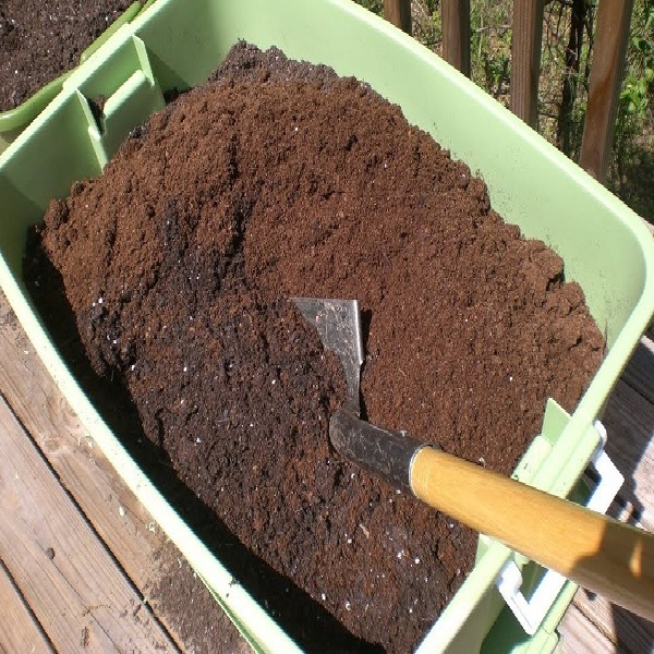 Phân vi sinh trùn quế