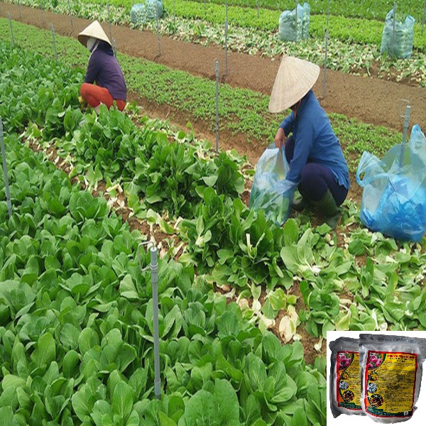 Tinh vôi nông nghiệp