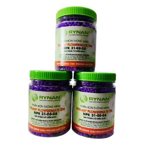 Phân bón tan chậm NPK 31-08-08