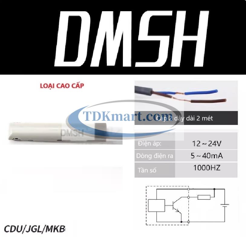 Cảm biến từ xi lanh khí nén DMSH