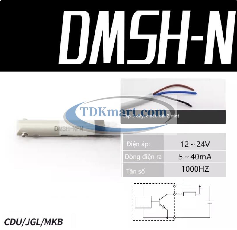 Cảm biến từ xi lanh khí nén DMSH-N