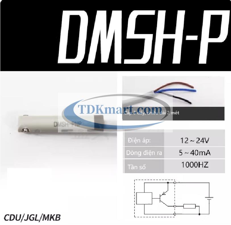 Cảm biến từ xi lanh khí nén DMSH-P