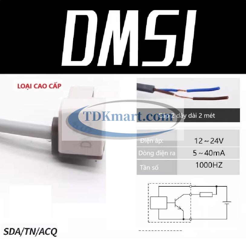 Cảm biến từ xi lanh khí nén DMSJ