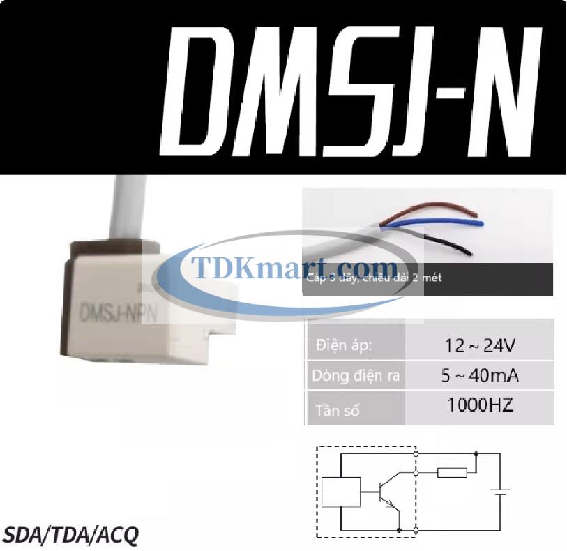 Cảm biến từ xi lanh khí nén DMSJ-N