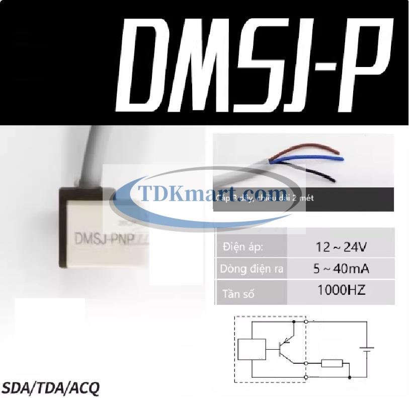 Cảm biến từ xi lanh khí nén DMSJ-P
