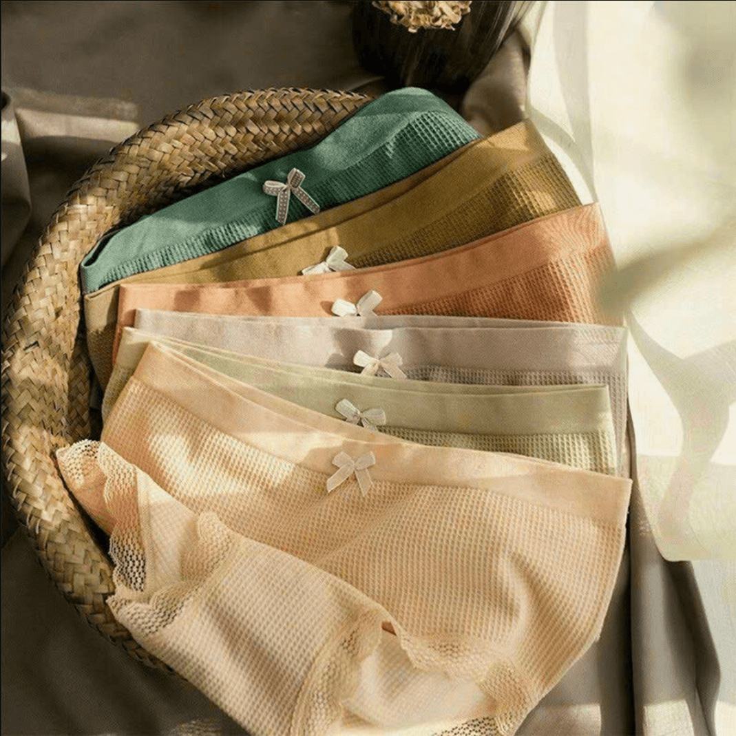 [Mã S02] Quần Lót Nữ Cotton Mềm Mại Viền Ren Ôm Bụng Nâng Mông Co Giãn 4 Chiều