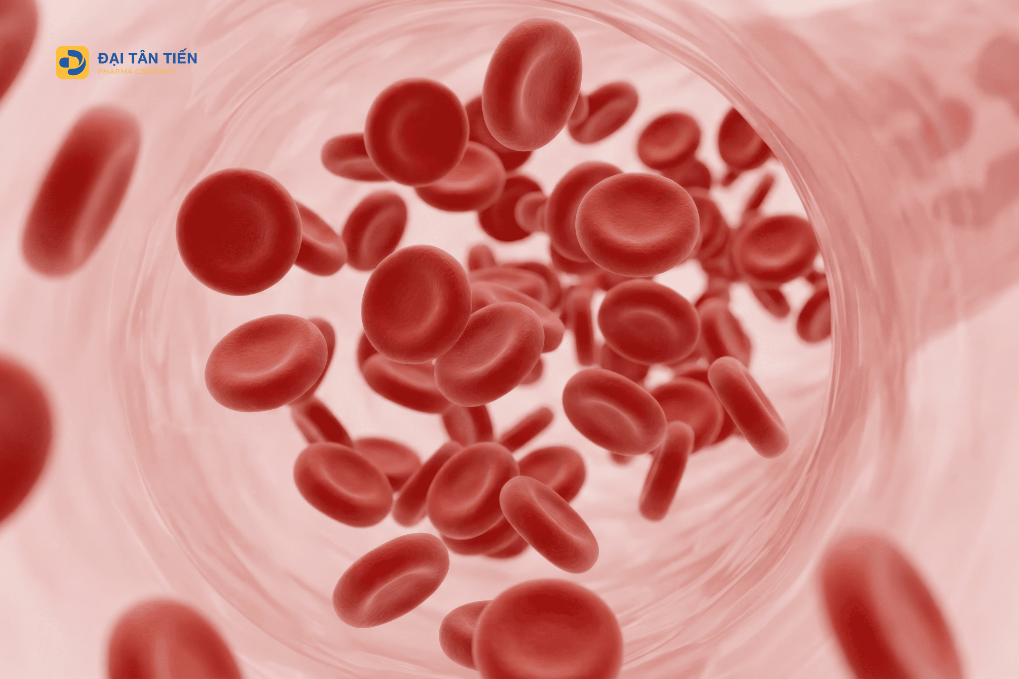 Sắt hữu cơ và sắt vô cơ khác nhau thế nào? Bầu uống sắt nào tốt?