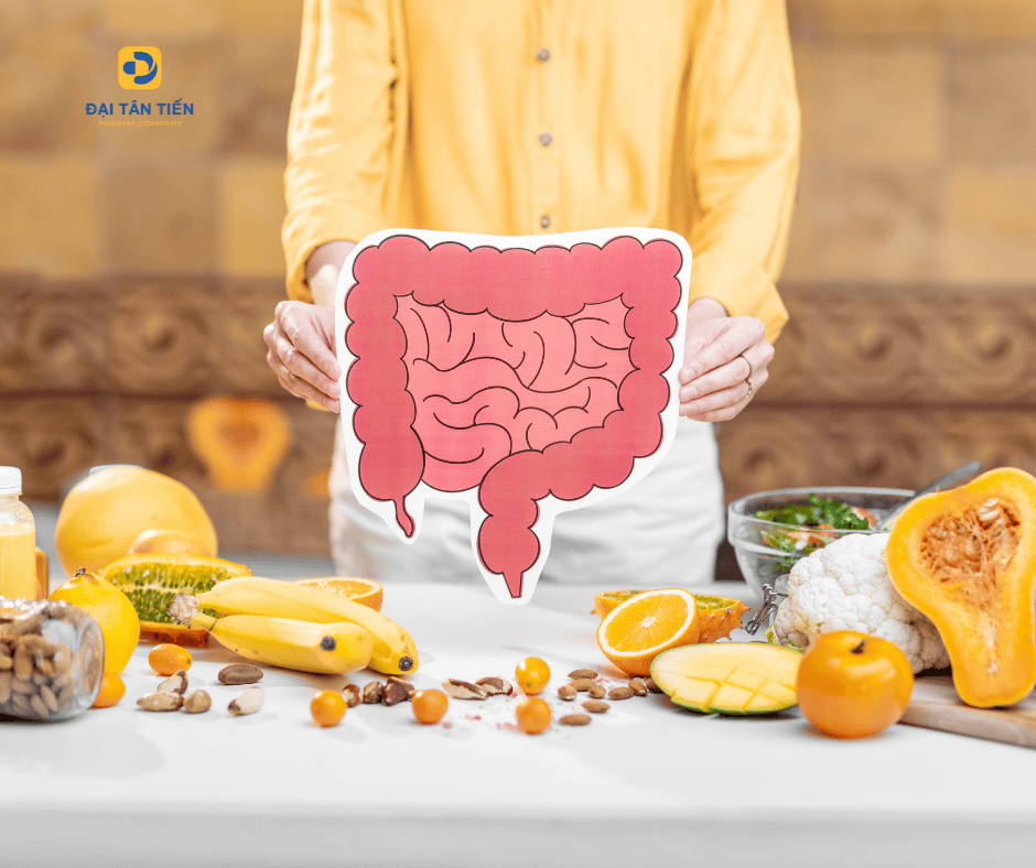 LỢI KHUẨN LACTOBACIILUS LÀ GÌ? TỔNG QUAN VÀ CHI TIẾT CÁC CHỦNG