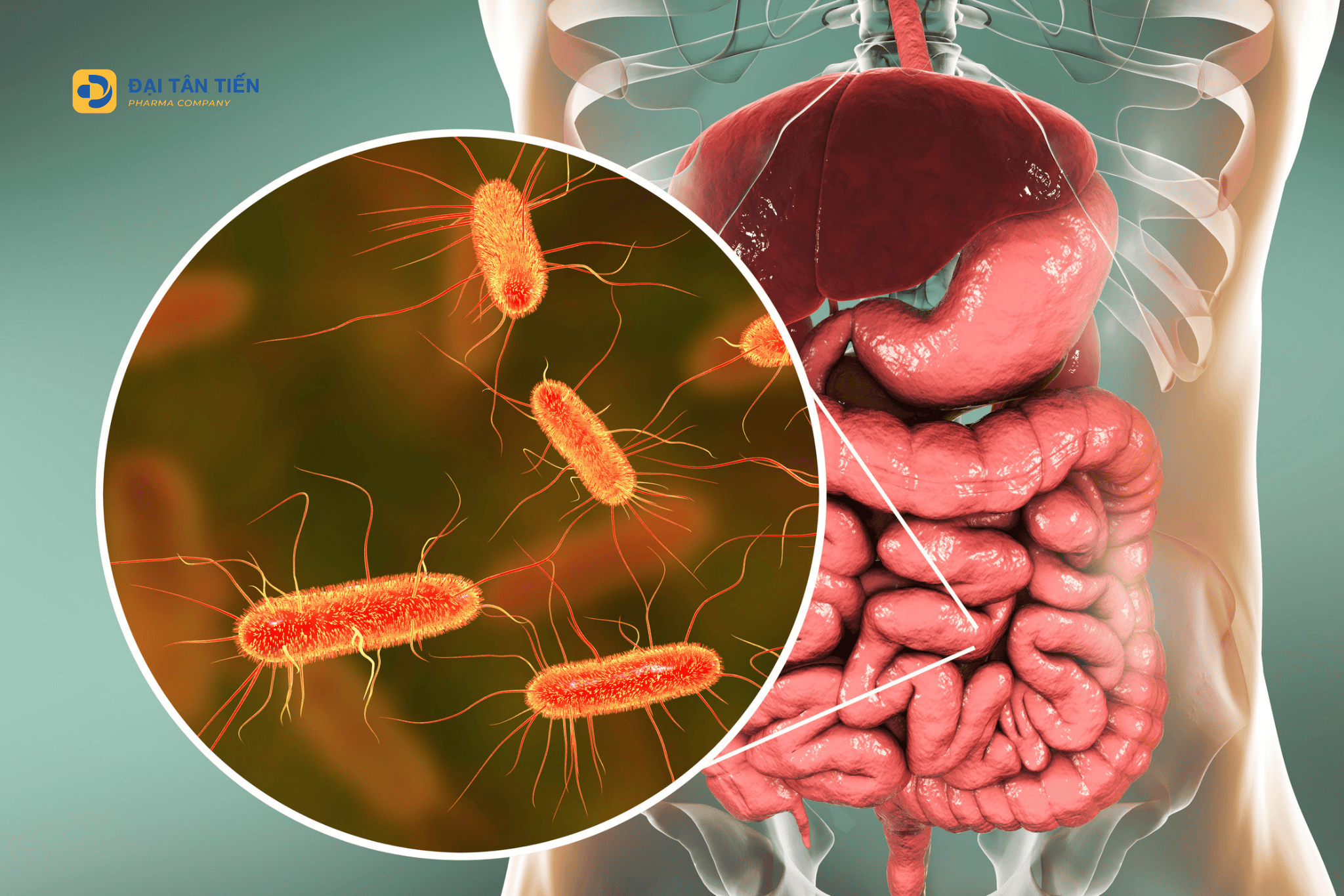 Tiêu chảy khi mang thai: Bầu bị tiêu chảy phải làm sao để xử trí đúng cách?