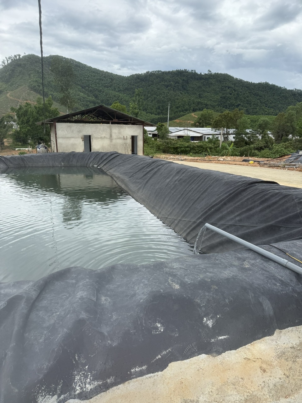 Hình ảnh trang trại Vũ Sơn Đức