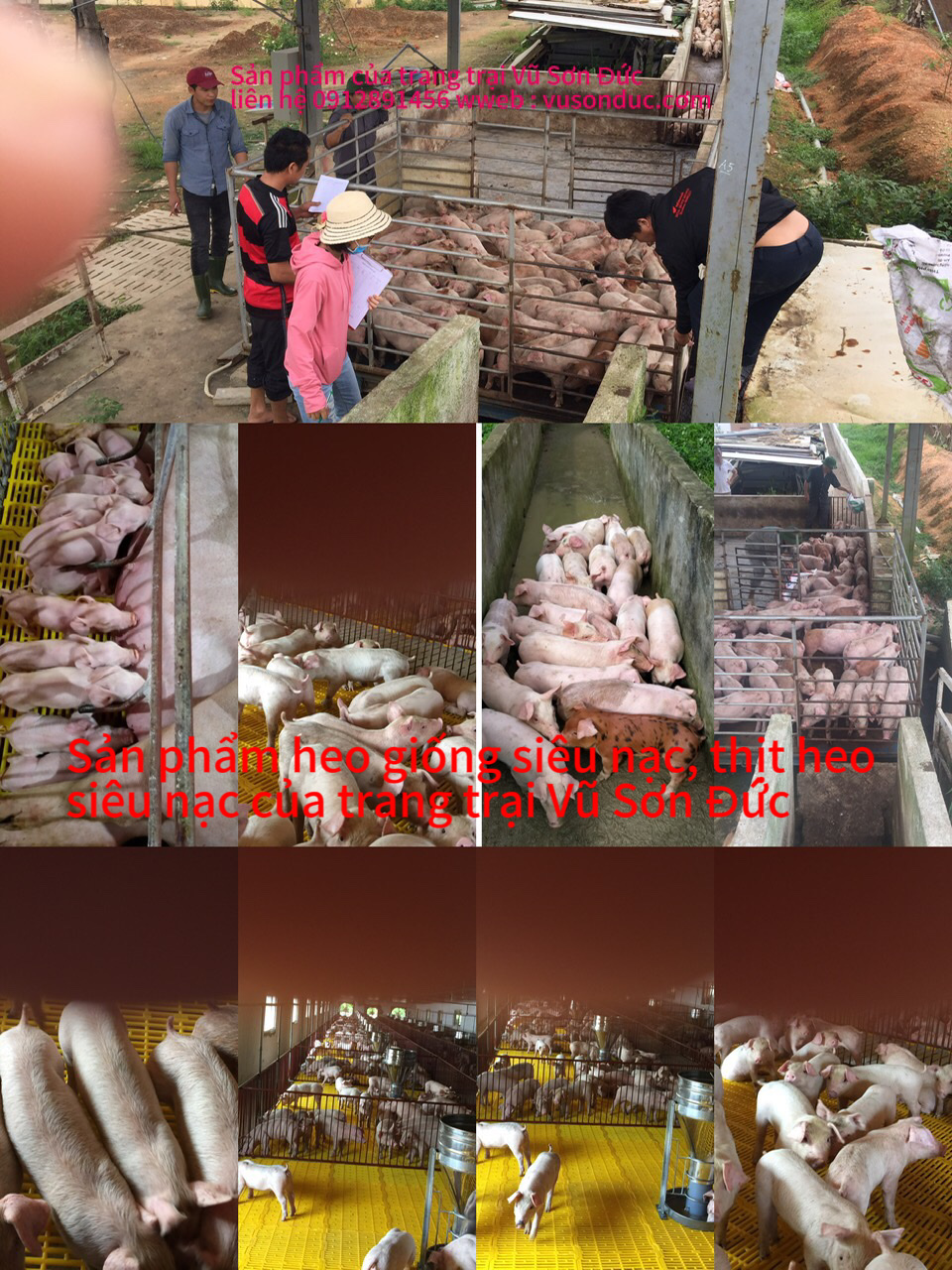 SẢN PHẨM CỦA HTX VŨ SƠN ĐỨC