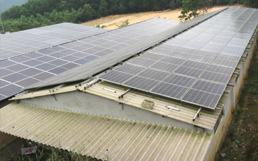 Hợp tác xã Vũ Sơn Đức - trại heo thịt siêu nạc - heo giống siêu nạc