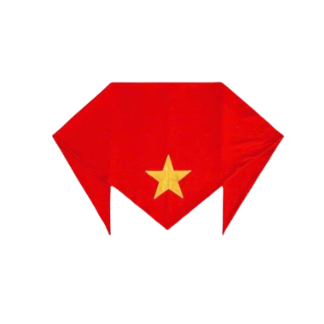 Khăn choàng Việt Nam 85cm-CT