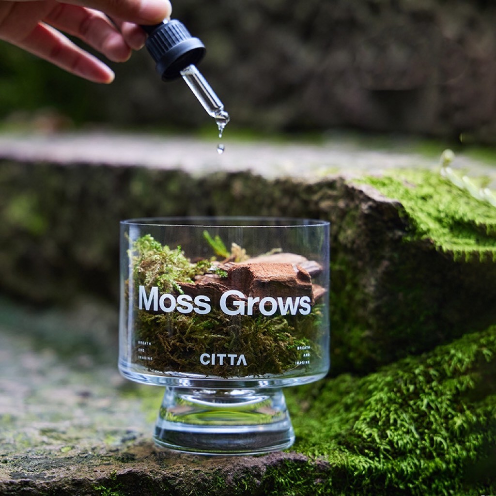 Set tinh dầu+hoa khô Citta-BL