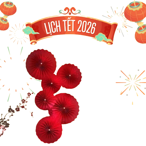 Set quạt giấy đỏ 6c trơn-QSN/GB