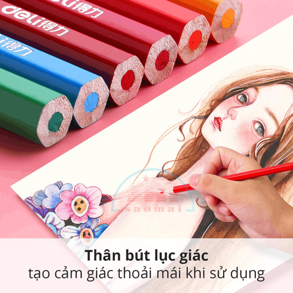 Bút chì 36 màu Deli dạng cốc 7070-LA