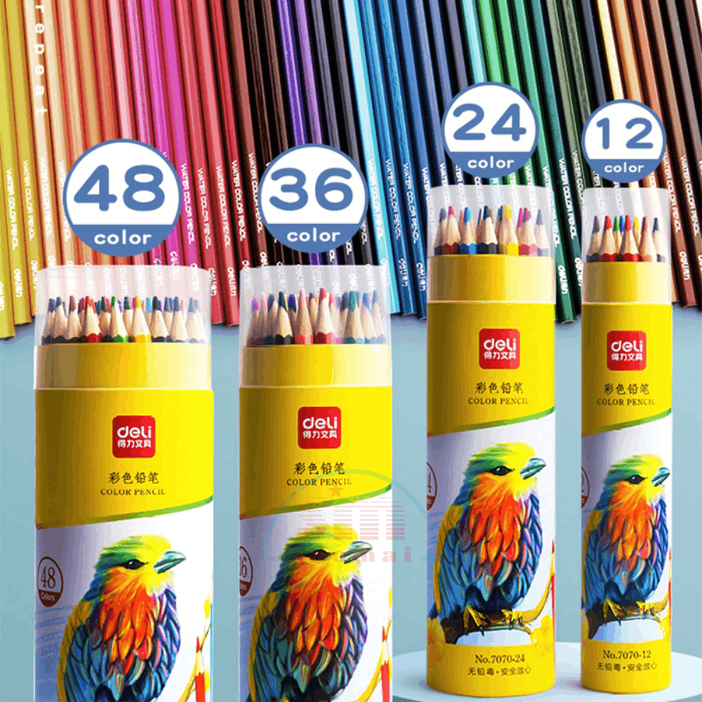 Bút chì 12 màu Deli dạng cốc 7070-LA