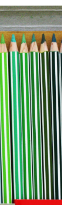Chì màu Stabilo CLP585 X.lá Olive-TA